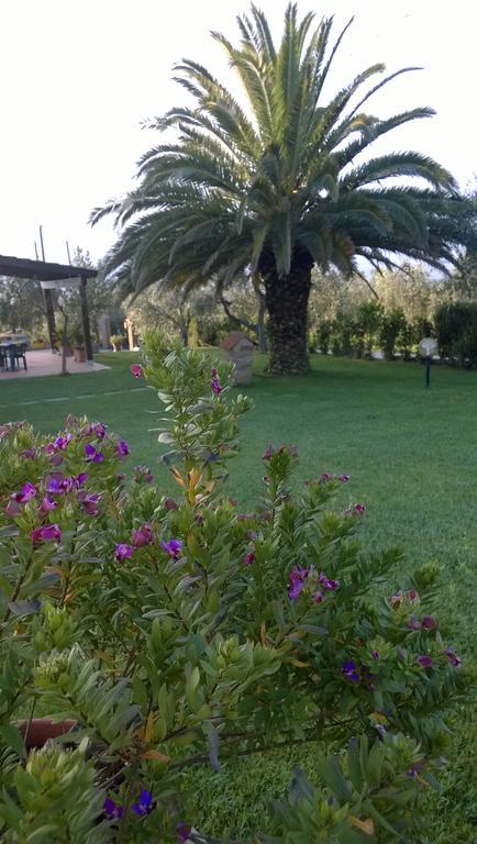 Villa Agriturismo Valbona Castiglione della Pescaia Exterior foto